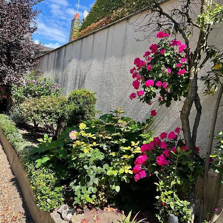 Evasion De Loire Bed & Breakfast Jargeau Exterior photo